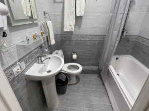 Отель Shosh Palace