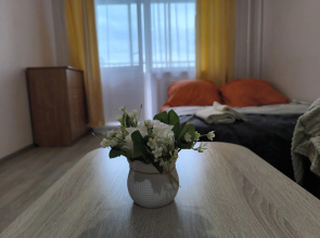 Uyutnaya Studiya  V Zelyonoy Zone Flat
