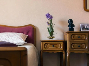 Historical Center Apartments