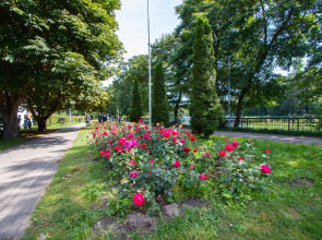 Апартаменты Lake City Sea Style