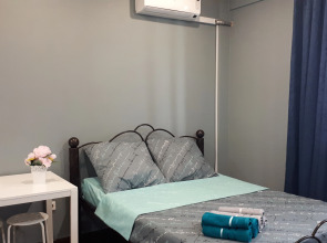 Квартира Апартаменты у Аэропорта Толмачево