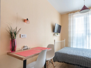 Студия с панорамными окнами