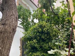 Гостевой дом Koronello