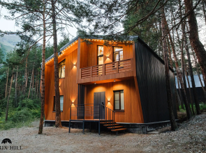Larix Hill Mini hotel