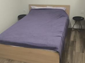V Samom Tsentre Goroda Ryadom Parki I Naberezhnaya Flat