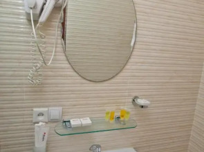 Отель Renion Zyliha