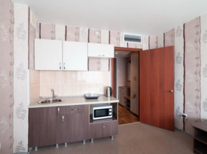 Studiya S Vidom Na Reku Flat