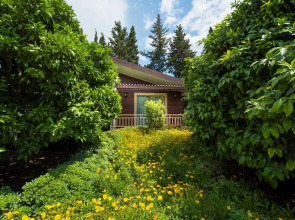 Отель Kimera Lounge