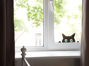 Квартира Город Рек на Гражданской улице 20-22 у метро Садовая