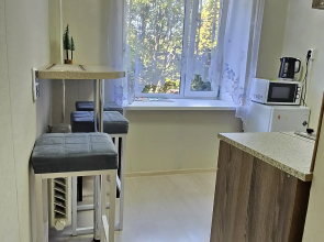 Na Karelskoy 52 Flat