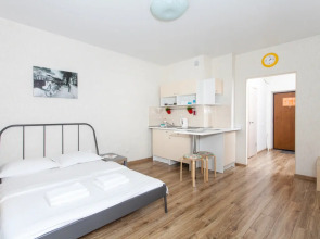 Апартаменты Домант Романова 60/1 (6)