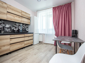 Апартаменты Бородина 54