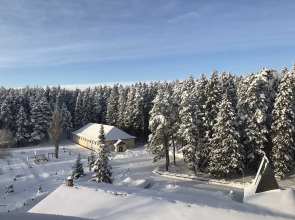 Отель Лесная Сказка