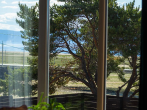 Sosnovy Dvorik Guest house