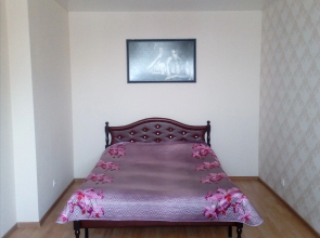 Simbirskie Vyisotki Apartments