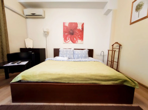 Апартаменты TVST - Пушкинская Старопим