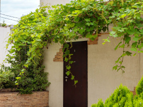 Гостевой дом Provence