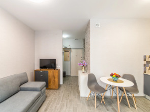 Апартаменты-студия на Фрунзенской