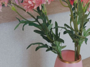 Квартира  Flatirini на Гастелло 71А/1