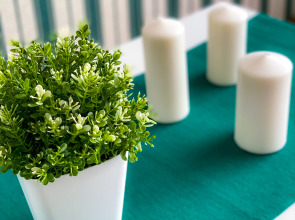 Апартаменты Unique Apart Оазис рядом с РИАцентром, КузГТУ и Площадью Волкова на Красноармейской 103