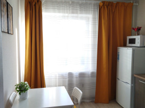 Апартаменты на Посадского