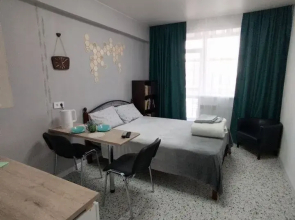 Studiya Na Mikrorayone Beryozovy 148 Flat