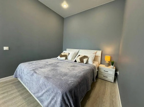 Апартаменты СИБИРЬ HOUSE   Люкс напротив Московской площади