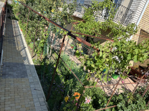 Гостевой Дом Райский Уголок