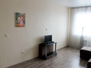 Апартаменты У СГУГИТ