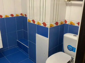 Квартира Однокомнатная с балконом