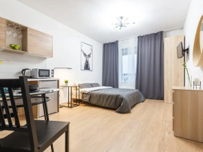 Видовые апартаменты RoomyRoom City lights