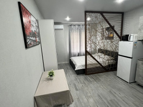 Студия 22 кв.м на Видова