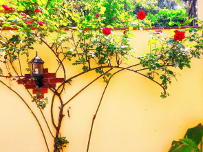 Отель Ottoman's Pearl