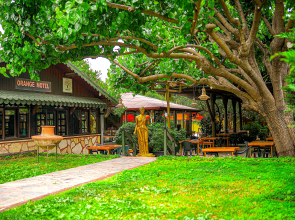 Çıralı Orange Motel