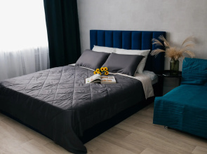 Apartamenty Al'fa Houm Plus na Truda 165