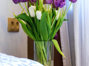 Апартаменты Element 2