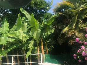 Гостевой дом Студио Отельчик