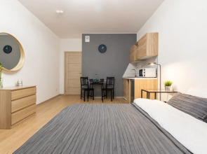 Видовые апартаменты RoomyRoom City lights