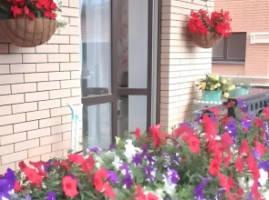 Апартаменты Ф.Е.Я.