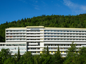 Behounek Hotel