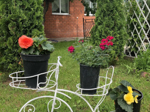 Гостевой дом Волшебный сад