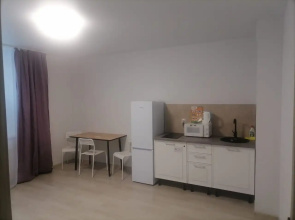 Kvartira DreamHouse na Ulice Sof'i Perovskoj 106a