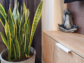 Апартаменты Queenstay Тиффани на Войковской