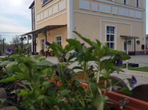 Мини-отель Мотель Koyote ИП Кылчик Д.П.