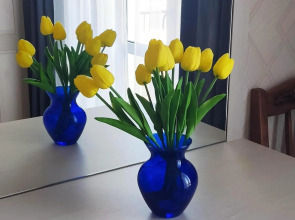 Квартира Шикарная квартира на Коллективной