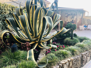 Гостевой Дом Голубая Лагуна