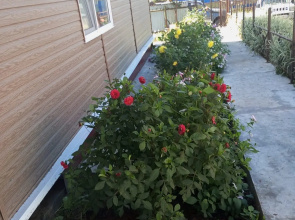 Guest house Rassvet
