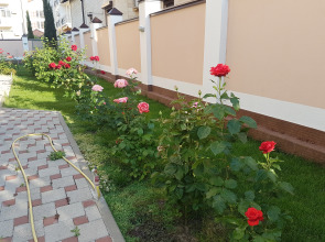 Гостевой дом Русь Геленджик