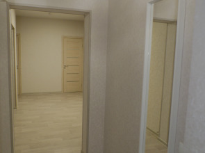 Апартаменты Династия Петра Подзолкова 3И