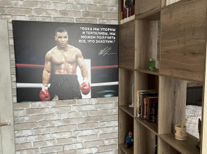 Апартаменты на Рябиновой